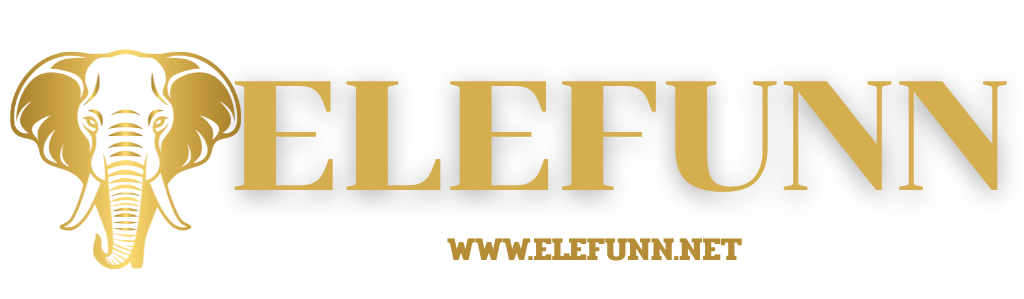 ELEFUNN logo